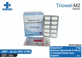 TRIOWEL-M2